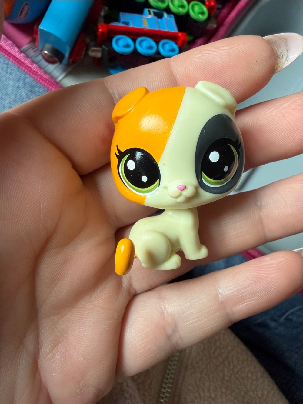 Littlest Pet Shop Orange & Cream Kitten Figure with Black Eye Patch
